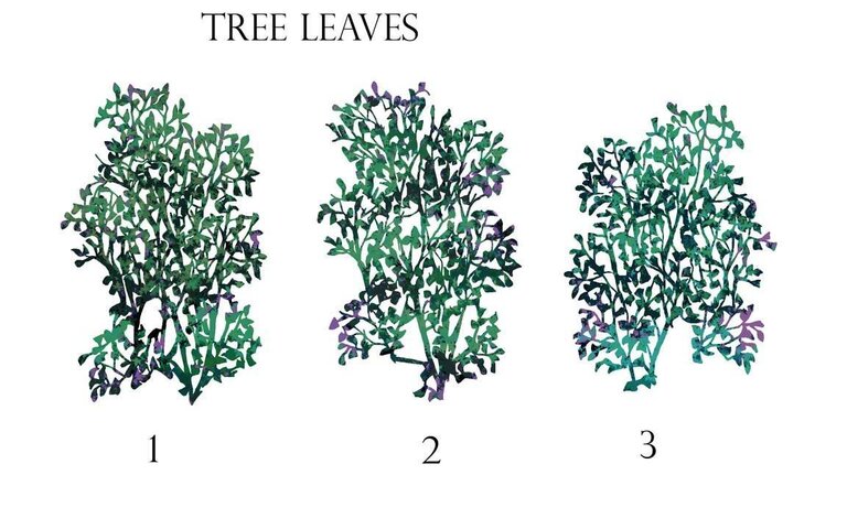 Tree Leaves.jpg