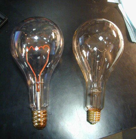 bulbs2.jpg