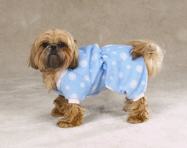 snowflake-dog-pajamas.jpg